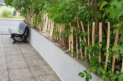 Ein Garten an der Unterkunft Altes Schreiner Haus in der Vulkaneifel