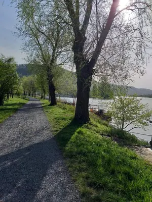 Naturlandschaft in der Nähe der Ferienwohnung