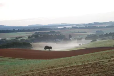 Naturlandschaft in der Nähe der Ferienwohnung