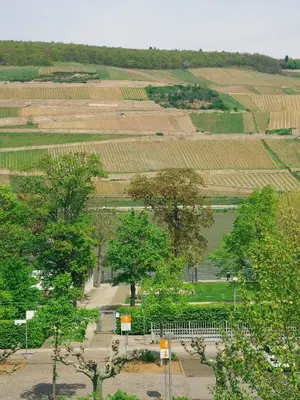 Naturlandschaft in der Nähe der Ferienwohnung