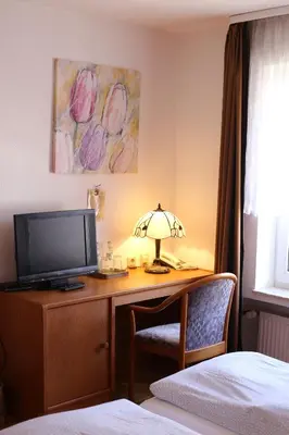 TV/Unterhaltungsangebot in der Unterkunft Hotel Restaurant Bürgerstube
