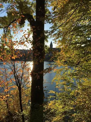 Naturlandschaft in der Nähe des Hotels
