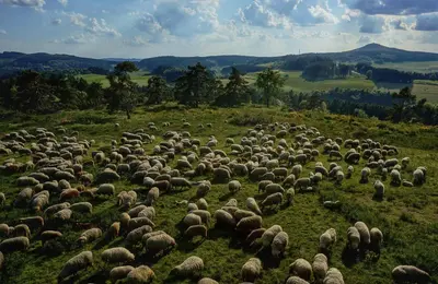 Naturlandschaft in der Nähe des Privatzimmers