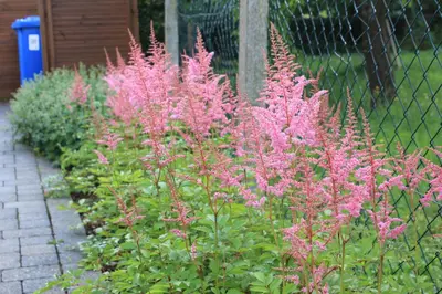 Ein Garten an der Unterkunft Ferienhaus Däschinger Das Zweiradparadies