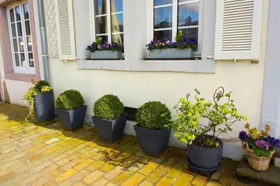 Ein Garten an der Unterkunft Pearl Studio Apart - King Bed - Netflix - Projector - Fast Wi-Fi