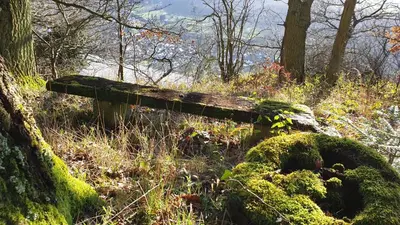 Naturlandschaft in der Nähe der Ferienwohnung
