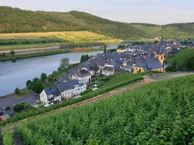 Naturlandschaft in der Nähe der Ferienwohnung
