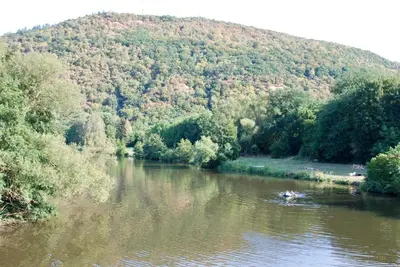 Naturlandschaft in der Nähe der Ferienwohnung