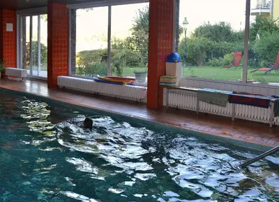 Der Swimmingpool an oder in der Nähe von Hotel Zur Mühle