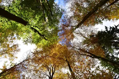 Naturlandschaft in der Nähe der Pension