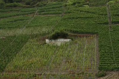 Naturlandschaft in der Nähe der Pension