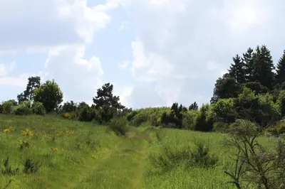 Naturlandschaft in der Nähe der Ferienwohnung