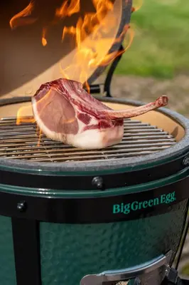 Ein für Gäste verfügbarer Grill im Hotel