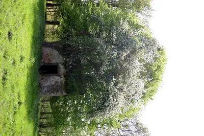 Ein Garten an der Unterkunft Hotel zur Krone