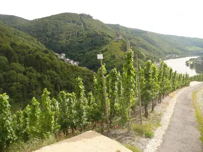 Naturlandschaft in der Nähe der Pension
