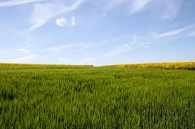 Naturlandschaft in der Nähe des Hotels