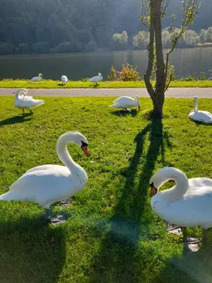 Naturlandschaft in der Nähe der Ferienwohnung
