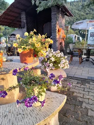 Ein Garten an der Unterkunft Ferienwohnungen am Moselbeach