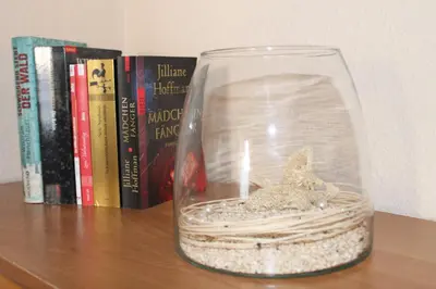 Die Bibliothek in der Ferienwohnung