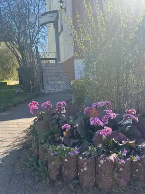 Ein Garten an der Unterkunft Bonnys Ferienwohnung