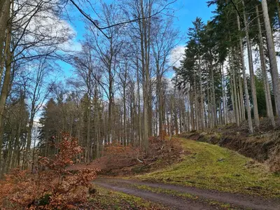 Naturlandschaft in der Nähe des Ferienhauses