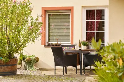 Ein Garten an der Unterkunft Ferienwohnungen Weingut und Vinothek Regnery