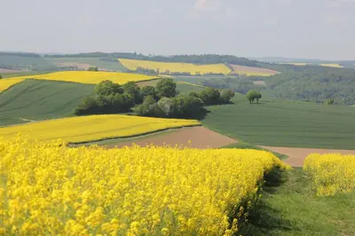 Naturlandschaft in der Nähe des Chalets