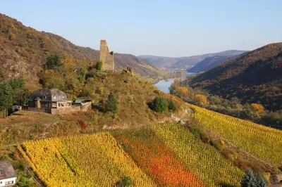 Naturlandschaft in der Nähe des Hotels
