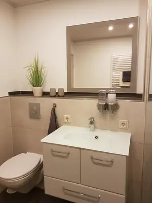 Ein Badezimmer in der Unterkunft ELLA am Eifelsteig