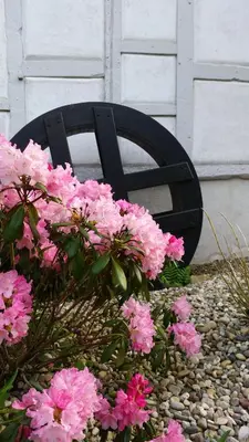 Ein Garten an der Unterkunft Kehrmühle