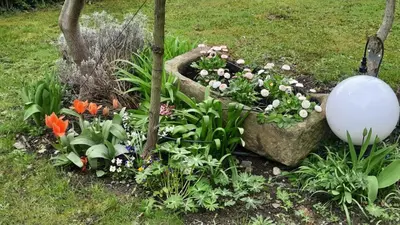 Ein Garten an der Unterkunft Am Teich