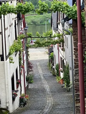 Ein Garten an der Unterkunft Ferienhaus am Baybach in Burgen an der Mosel