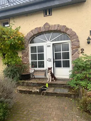 Ein Garten an der Unterkunft Vintage Apartment WOLF im Wadrilltal - Balkon Garten