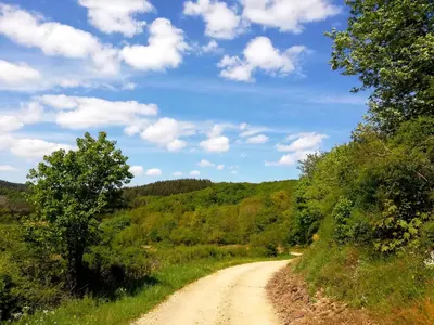 Naturlandschaft in der Nähe des Ferienhauses