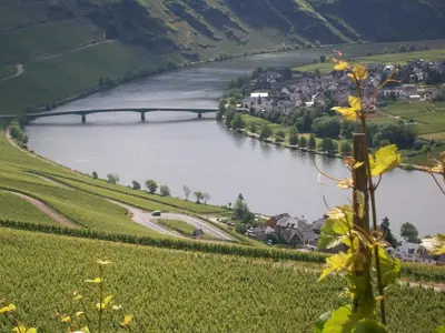 Naturlandschaft in der Nähe des Ferienhauses