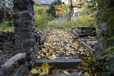 Ein Garten an der Unterkunft Hedwigs Hexenhäuschen