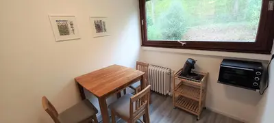 Küche/Küchenzeile in der Unterkunft Ferienwohnungen Petrisberg