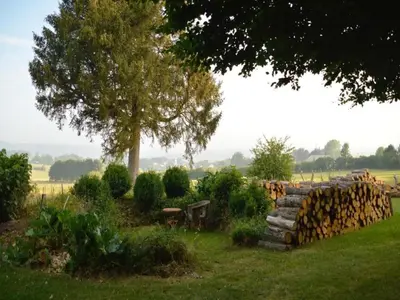 Ein Garten an der Unterkunft Eifel Garden Hideaway