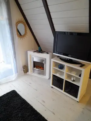 TV/Unterhaltungsangebot in der Unterkunft Haus Eifel