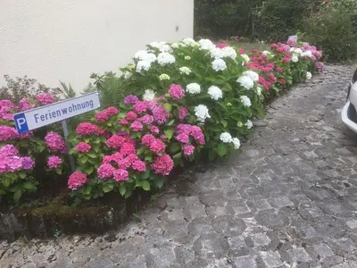 Ein Garten an der Unterkunft Ferienwohnung Loretta