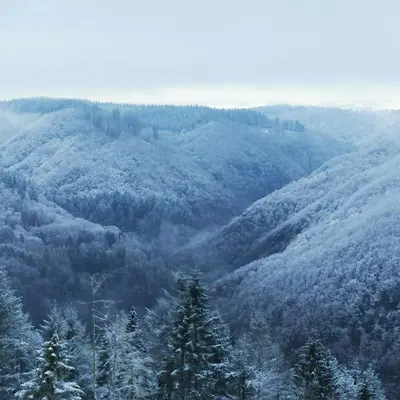 Naturlandschaft in der Nähe des Ferienhauses