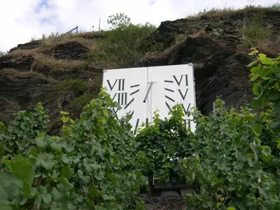 Ein Garten an der Unterkunft Juffer Flair Restaurant Gästehaus