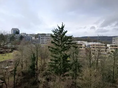 Naturlandschaft in der Nähe der Ferienwohnung