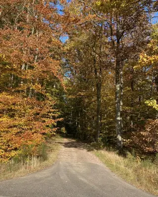 Naturlandschaft in der Nähe des Ferienhauses