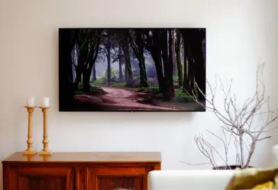 TV/Unterhaltungsangebot in der Unterkunft Grünberg House