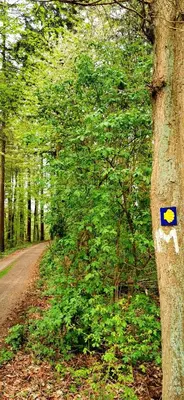 Naturlandschaft in der Nähe der Ferienwohnung
