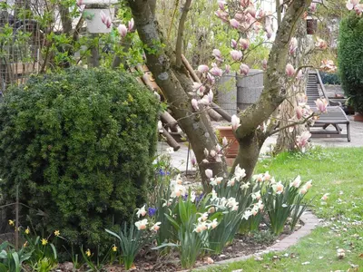Ein Garten an der Unterkunft Ferienwohnung 