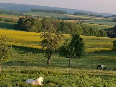 Naturlandschaft in der Nähe des Ferienhauses