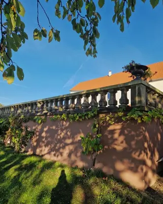 Ein Garten an der Unterkunft Gutshaus De La Fontaine