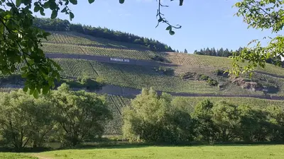 Naturlandschaft in der Nähe der Ferienwohnung